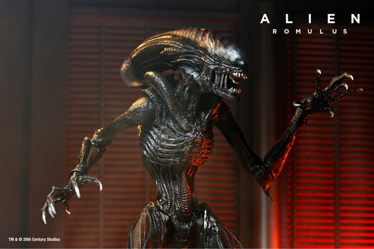 Alien: Romulus Ultimate Scorched Xenomorph