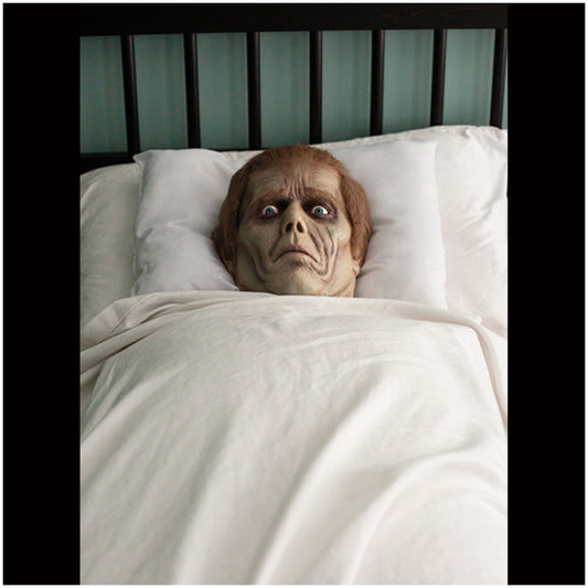 Dawn of the Dead – Roger Pillow Pal Prop