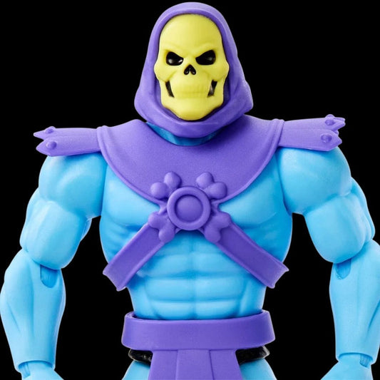 Masters of the Universe Origins Skeletor (Cartoon Collection)