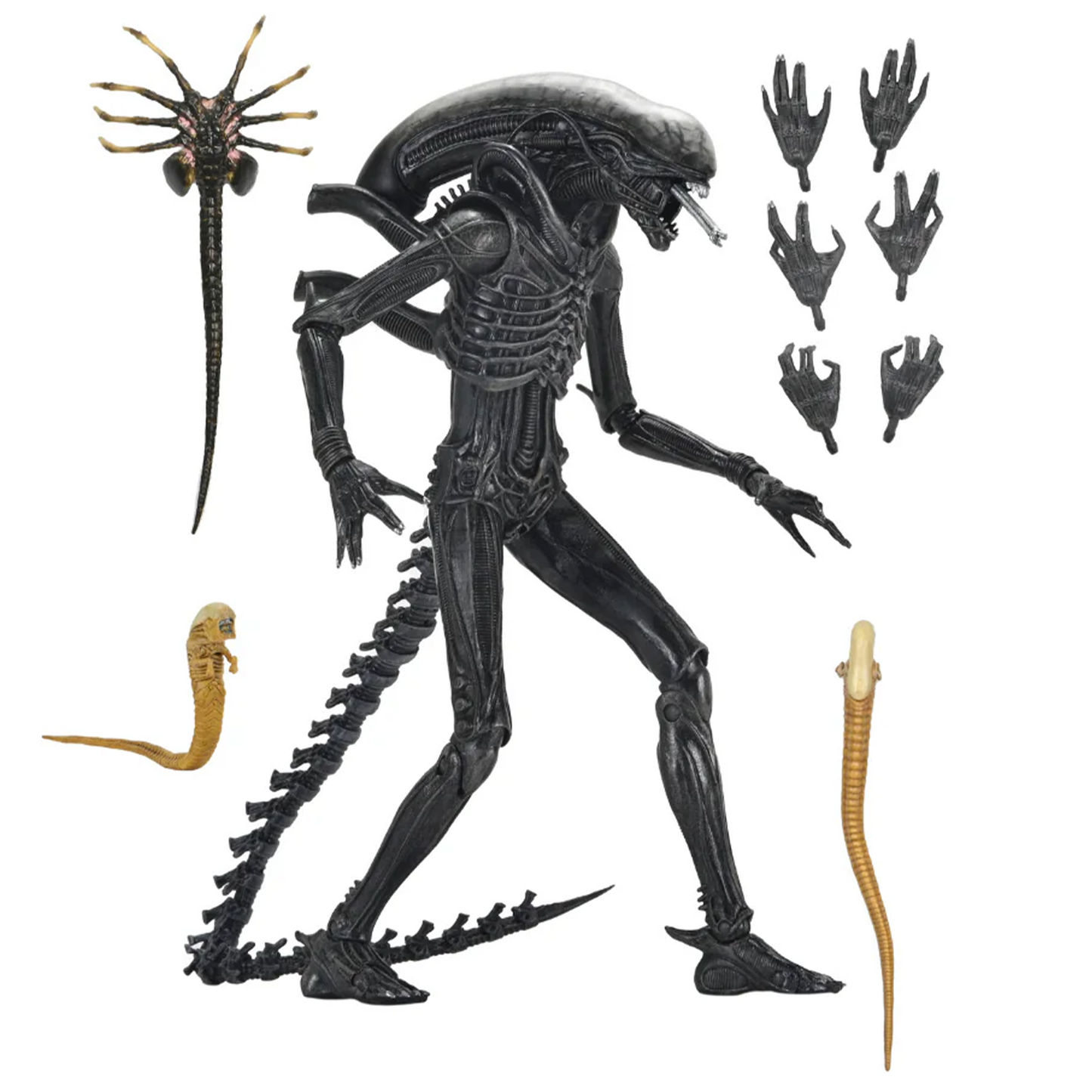 NECA Alien: Romulus – Ultimate Xenomorph XX121 Ultimate