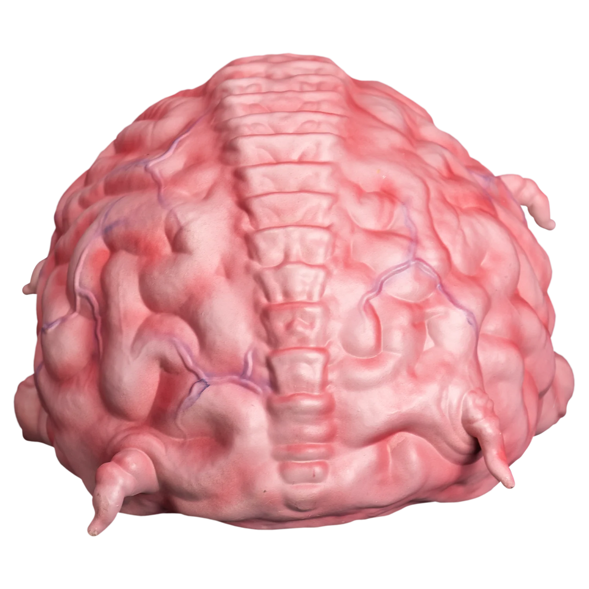 Teenage Mutant Ninja Turtles – Krang Prop